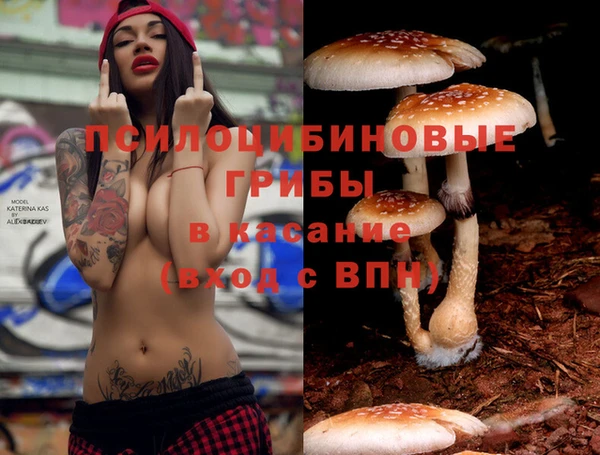СК Балахна
