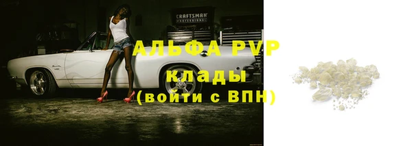 СК Балахна